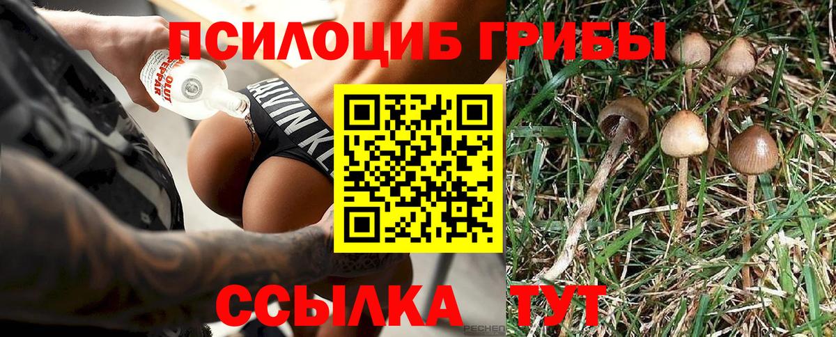 Петропавловск-Камчатский  Псилоцибиновые грибы Psilocybine cubensis  где купить наркоту  Вход с VPN 