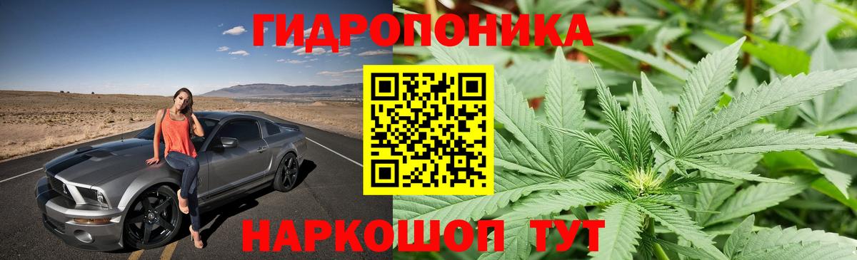 Конопля AK-47  Шишки марихуана SATIVA & INDICA  Петропавловск-Камчатский  Вход с VPN  Бошки Шишки сатива  Каннабис Amnesia 